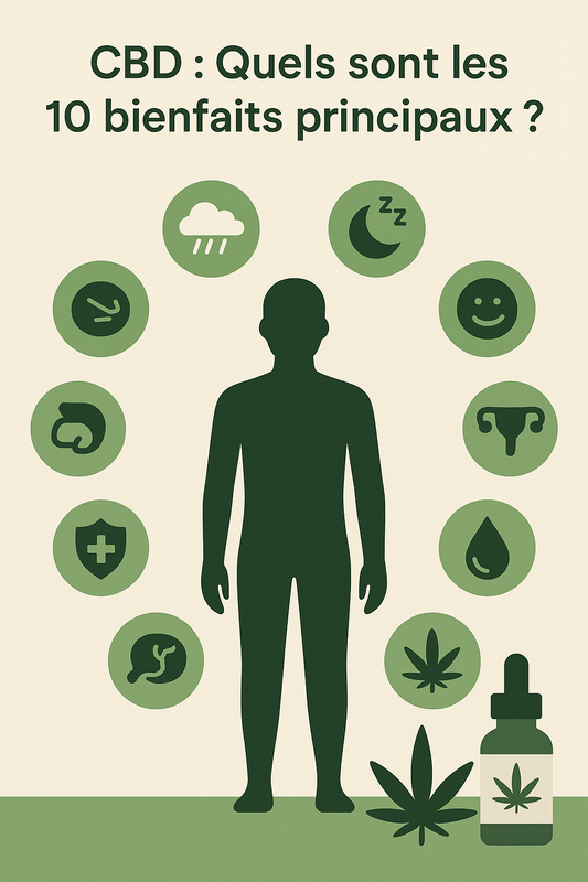 CBD : Quels sont les 10 bienfaits principaux ?