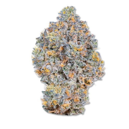 Pineapple Sauvage JH CBD