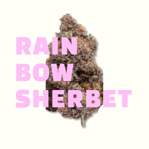 Rainbow Sherbet CBD JungleHouse