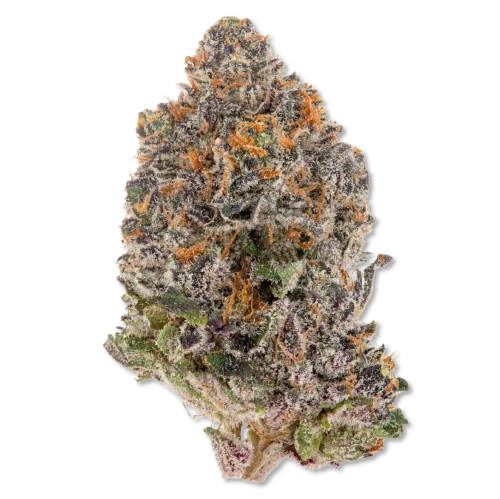 Sapphire Kush Diesel JH