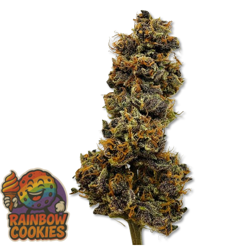 rainbow cookies cbd
