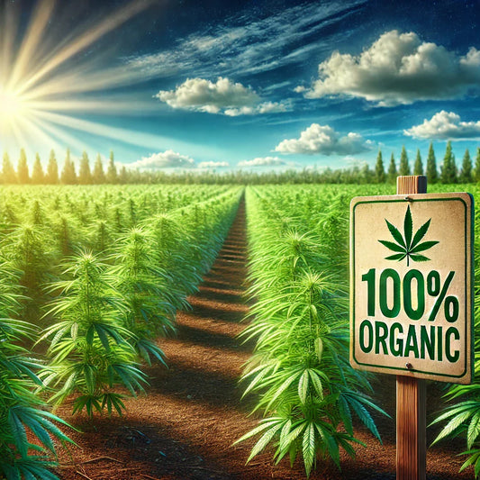 Pourquoi consommer du CBD Bio ?
