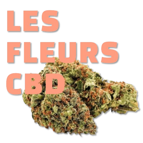 LES FLEURS