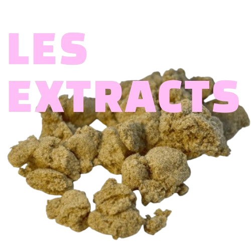 NOS EXTRACTIONS