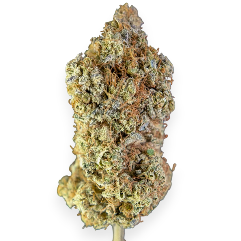Berry Pebbles | CBD Indoor Living Soil