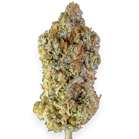 Berry Pebbles | CBD Indoor Living Soil