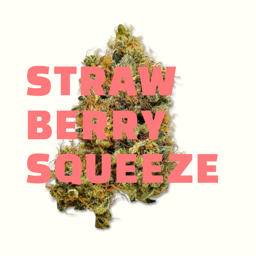 🍓  Strawberry Squeeze| CBD Indoor Living Soil