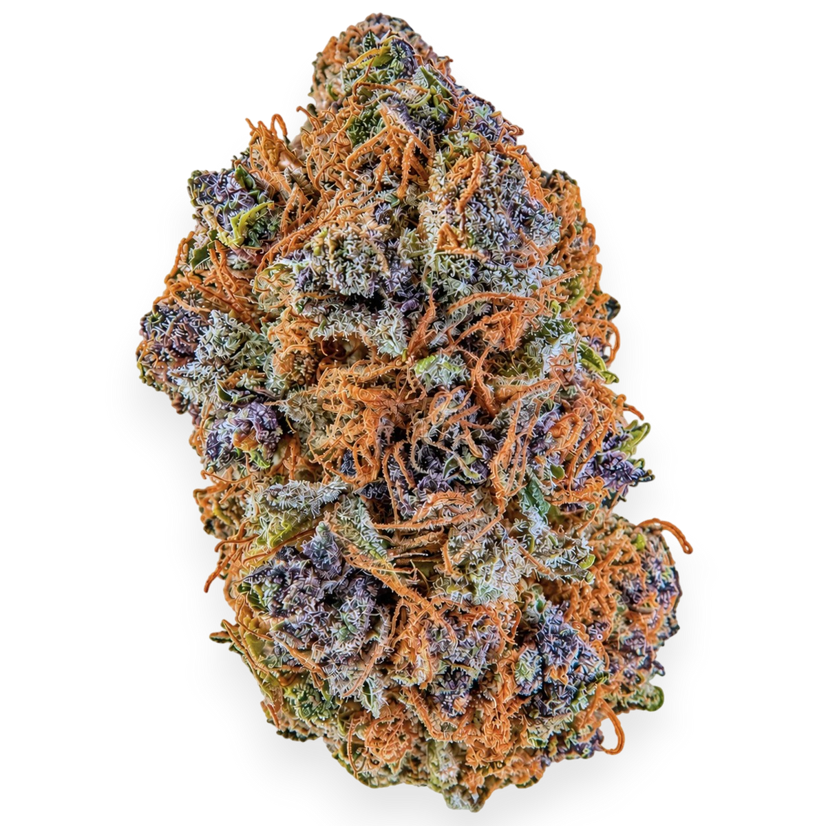 🔮 Purple Goat OG | CBD Indoor Living Soil