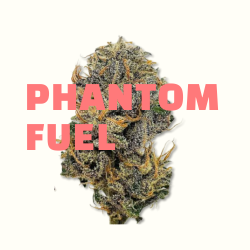 Phantom Fuel CBD Junglehouse