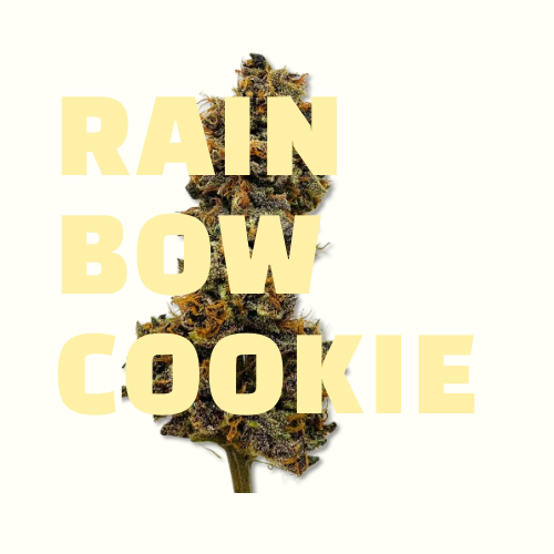Rainbow Cookies CBD Junglehouse