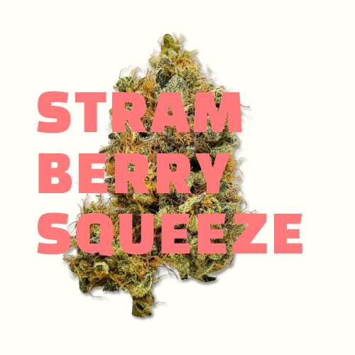 Strawberry squeeze CBD JungleHouse