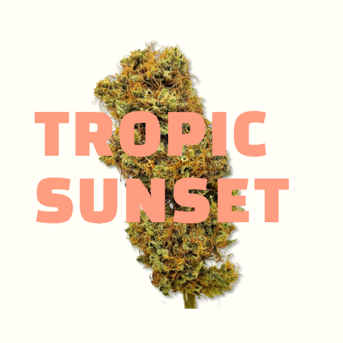Tropic Sunset CBD Junglehouse