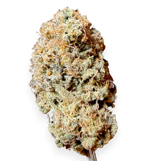 🍋 YUZU | CBD Indoor Living Soil