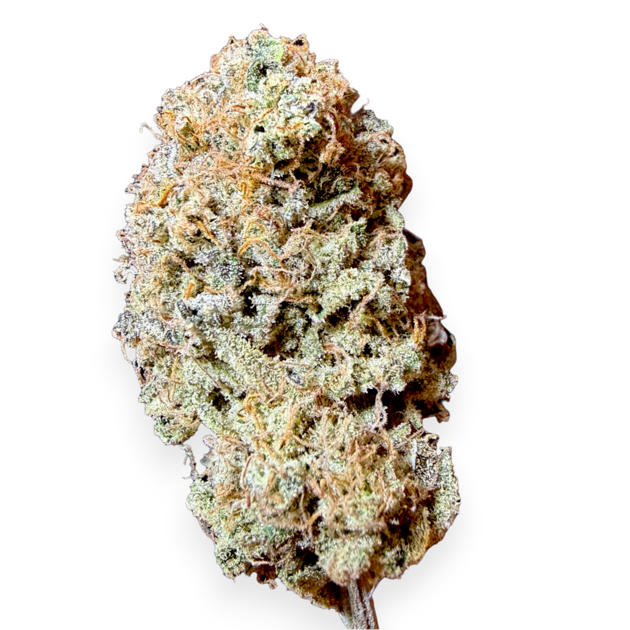 🍋 Yuzu | CBD Indoor Living Soil