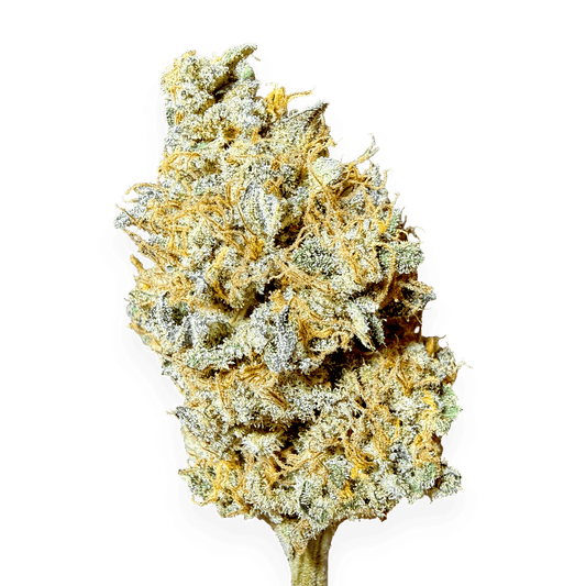 🪅Candy Cane | CBD Indoor Living Soil