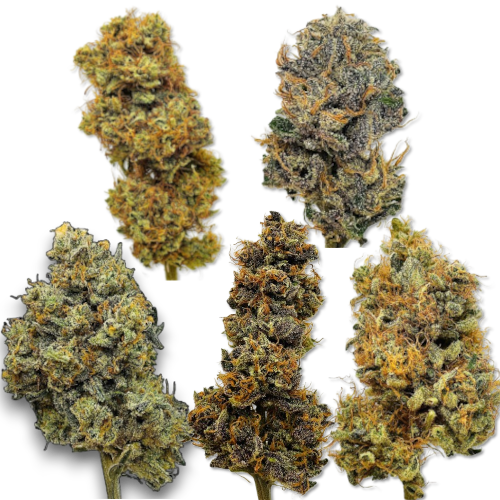 pack_decouverte cbd