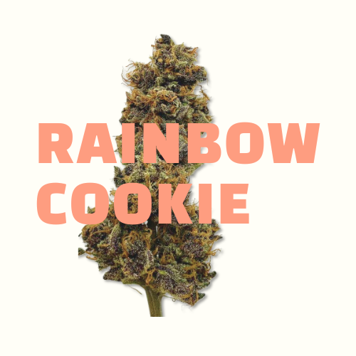 rainbow cookiez