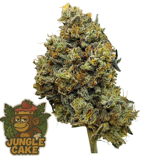 🏴‍☠️ Jungle Cake | CBD Indoor Living Soil